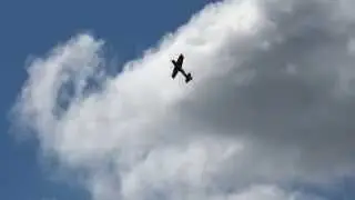Алексей Горбунов 3D Freestyle