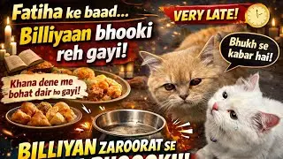 Aaajj to bhot der ho gyii gys @simmi.simba_00 #longvideo#newvideo #vlogs #catsvideo #funnyvideo