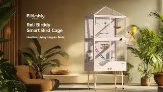 Reli Birddy: World's First Smart Cage That Transforms Bird Care!
