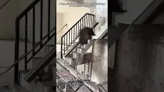 Staircase Demolition by Saw