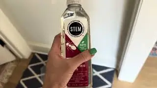 Обзор: Спрей от насекомых STEM: убивает муравьев, тараканов и мух