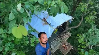 A Day in the Up Tree House 🌳 | Peaceful Escape in the Trees