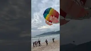 ALGO VS MANUAL TRADING