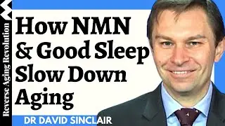 Why NMN & Good Sleep Are Linked To Slow Down Aging | Dr David Sinclair Interview Clip