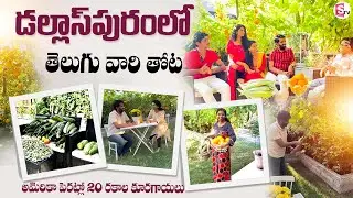 Exclusive Interview With Thota Family | Organic Vegetables Gardening In USA | SumanTV Texas