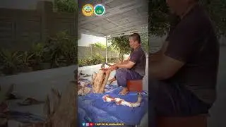 keluarga Besar Taud RA AL Marhamah 2 Tabalu Mengucapkan , Selamat Hari Raya Idul Adha 1445 H.