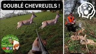Battue dans la Manche aux chevreuils et aux renards avec mon premier doubl&eacute; de chevreuils!!!😱🦌🦊