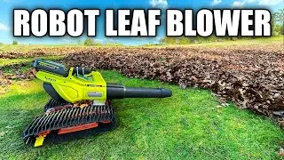 Robot Leaf Blower vs. Human, Which is Better?