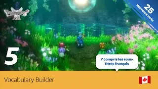 Dragon Quest 1+2 HD 2D Remake - 5  - For French Speakers