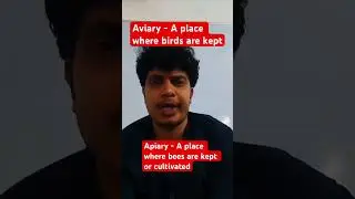 #shorts #Aviary #Apiary #Vocabs #competitive #english #vocabulary #edtech #edushorts
