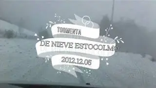 TORMENTA DE NIEVE ESTOCOLMO INVIERNO 2012