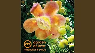 The Garden of Love