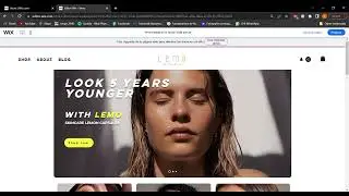 Lemo Website