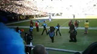 Sir Purr Dancing Crazy at Carolina Panthers Game