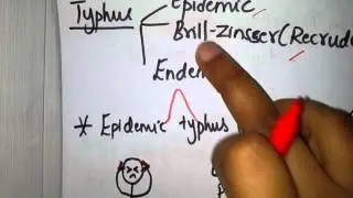 Rickettsia simplified - Part 1 ( Intro and classification)
