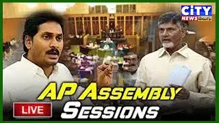 ap assembly live  19.11.2021