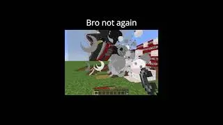 Minecraft Frames Moment #minecraft #foryou #minecraftmeme