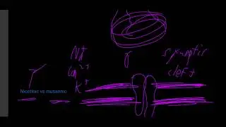 AP Bio vid. project ACh signaling pathway