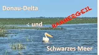 Motorradreise Rumänien Teil 3 Wir fahren zum Donau-Delta und das wird hart🥵 Aber schön😍
