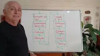 NIMIS PROJETOS - Como Montar Projeto de ENTREPOSTO DE OVOS | André Luiz Civitarese de Magalhães
