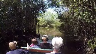 Down South Airboat Tours - Everglades Florida