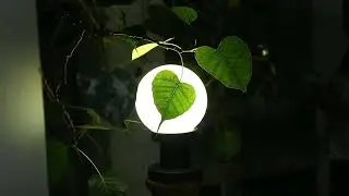 420A0733 Bo Leaf with back light as moon
