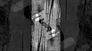 Isagooblam - Inthetree #noisemusic #experimental