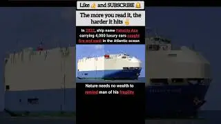 When Luxury Sank: The Lesson of Felicity Ace 🚢🌊