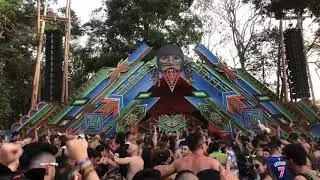 Yanomami 2019 - Berg & Reality Test
