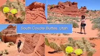South Coyote Buttes, Utah, USA, 2013 by a1VIDEO&reg; car trip