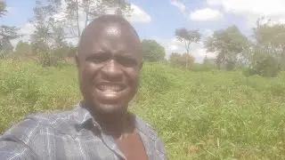 The crops people grow in the village and make millions of money 💰 