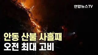 안동 산불 사흘째…진화 총력 속 오전 최대 고비 / 연합뉴스TV (YonhapnewsTV)