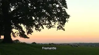 HD Stock Footage | Sheep grazing | Sunset | English Farmland | Farm Animals |West Sussex |E17R04 003