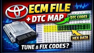 WinOLS DTC Map Explained | Toyota Gen 4 ECM