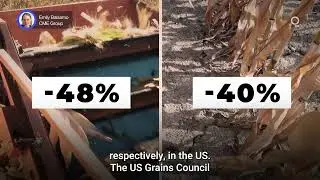 US Corn Farmers Build Sustainable Future&nbsp;| Presented by CME Group