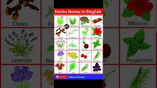 Herbs Name in English