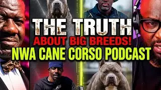 Show Vs Working Dogs: The Great Debate
