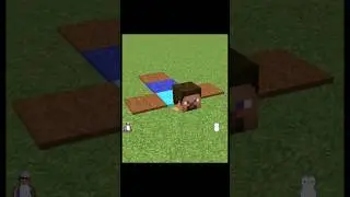 🤯easy to🏗️build🙎🏼&zwj;♂️Steve Carpet