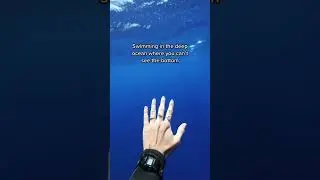 What lives in the 6,000 foot ocean&hellip; #ocean #dive #thalassophobia #deepwater #openocean