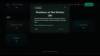 API CTF | Shadow of the Nation | HackersDaddy Rouge CTF 2025