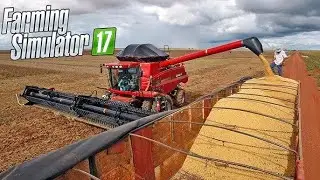 Farming Simulator 17 ☭ Совхоз Рассвет № 457. Большая уборка Рапса!