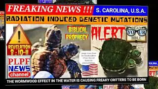 Revelation Prophecies Now