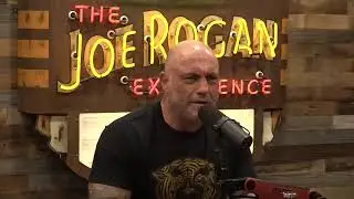 Bio Weapons Research Controversy - Joe Rogan & Bret Weinstein