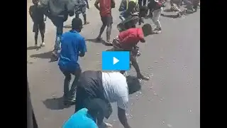 MADIMBA/BAS-CONGO: LES CONGOLAIS RAMASSENT LES ARACHIDES TOMB&Eacute;S D'UNE REMORQUE COMME DES ANIMAUX