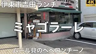 ミャゴラーレ 2026/1 パスタランチ(ムール貝とほうれん草のペペロンチーノ) 1,450円。