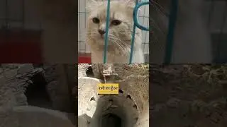 #ghost#shocking horror video#comment horror video creepy video for you 😱😱😱