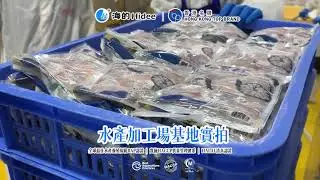 海的水產加工場基地實拍（二十一）