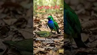 Kullu Man Alaiha Faan | How is 