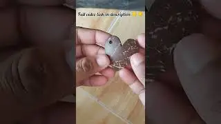 Heart key chain in coconut shell ❤❤/ coconut shell craft 🥥/ craft