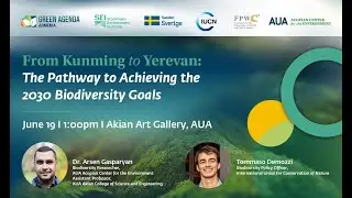From Kunming to Yerevan: The pathway to achieve the 2030 biodiversity goals